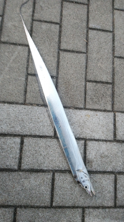 ジアイ短っ！！！