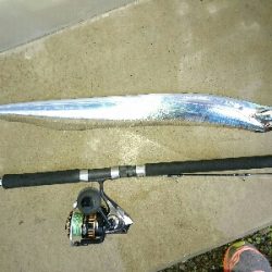 フラット狙いで、指4タチウオw