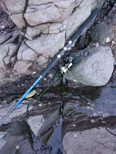 ヒラスズキ釣果w3本ゲット