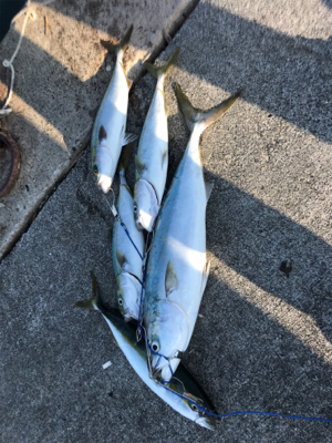 賑わってました