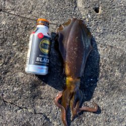 夜中には引き続き