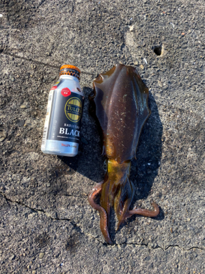 夜中には引き続き