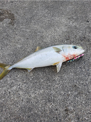 遠くで湧いてるのに…