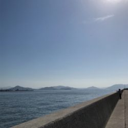 ショアジギング