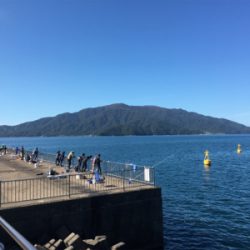 相変わらずすごい人、厳しいー