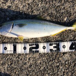 秋の釣りを満喫！