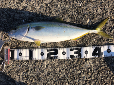 秋の釣りを満喫！