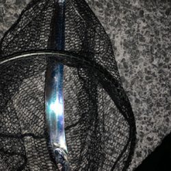 シビアなタチウオでもタッチポンは坊主なし