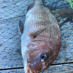 釣堀紀州さんにて