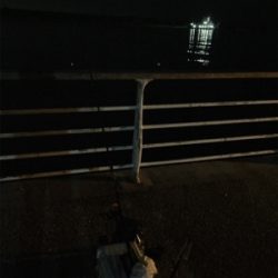 寒くなってきました