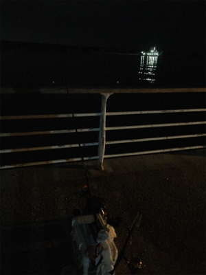 寒くなってきました