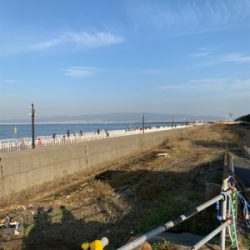 ハマチ50cm(サワラチューン)