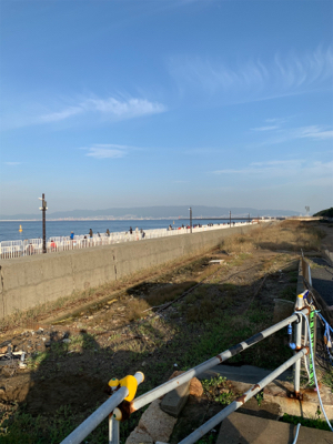 ハマチ50cm(サワラチューン)