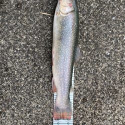 栃木総合運動場プール