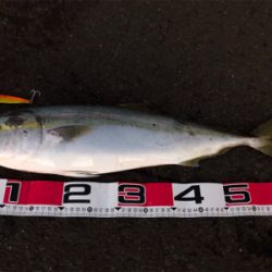 たまたま食ってくれた…^ ^♪?