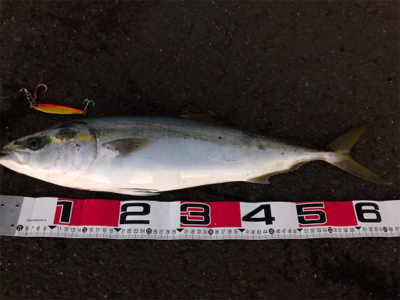 たまたま食ってくれた…^ ^♪？