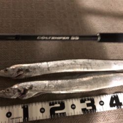 ムコイチ タチウオ&花火会場