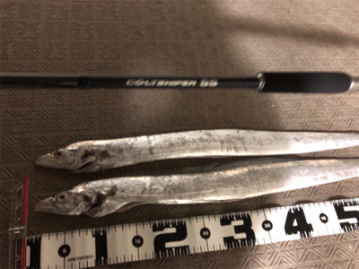 ムコイチ タチウオ&花火会場