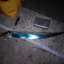 渋い中、何とか功を制す