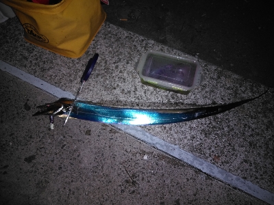 渋い中、何とか功を制す