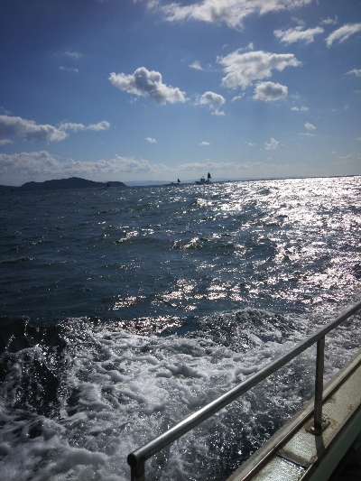 バイキング６時間