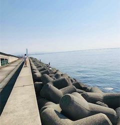 太刀魚渋い。