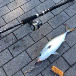 ライトショアジギング