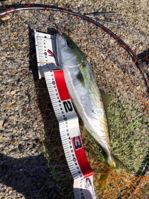 暇つぶしライトショアジギ