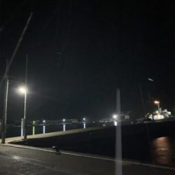 ナイトアジング