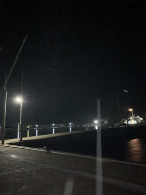 ナイトアジング