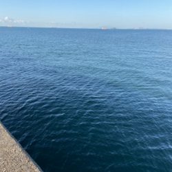 ジャックアイ　マキマキ