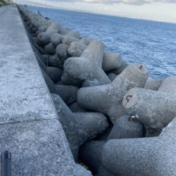 ショアジギング釣行