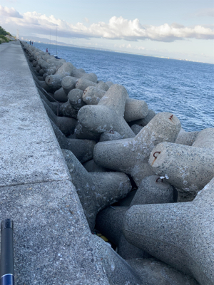 ショアジギング釣行