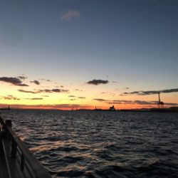 魚も人もいない