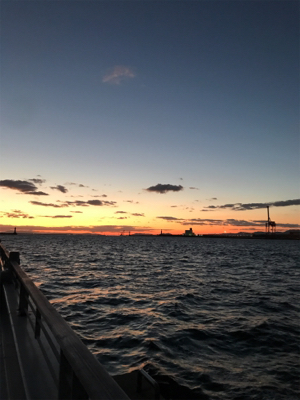 魚も人もいない