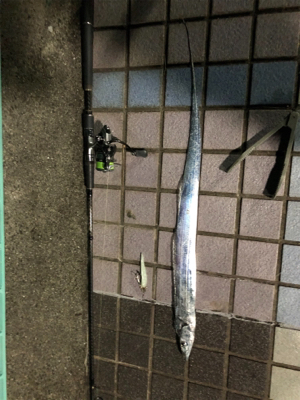 炙り刺身が食べたくて