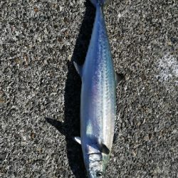 スランプ脱出。