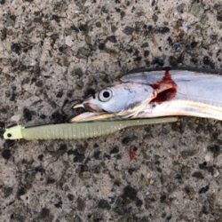 右も左もドラゴン