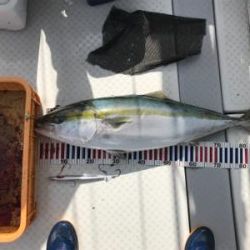 ビックファイター釣行 シマノ5番ぶち曲げました