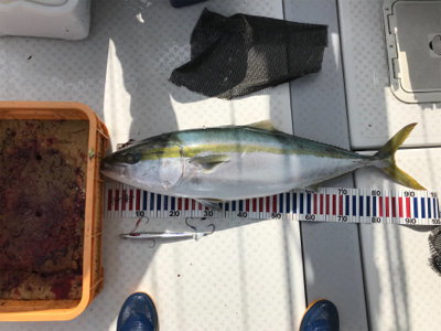 ビックファイター釣行　シマノ5番ぶち曲げま…