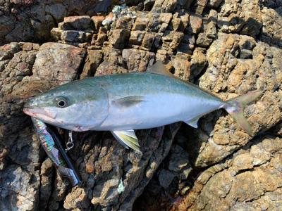 ポッパーにハマってます。