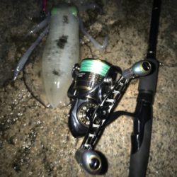 今年は厳しい〜