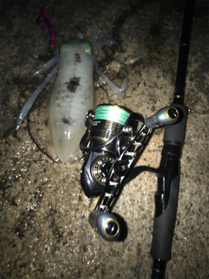 今年は厳しい〜