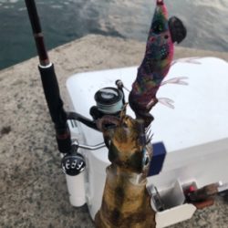 美保関ジギングからのエギング!