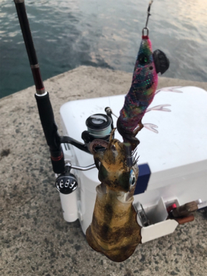 美保関ジギングからのエギング!