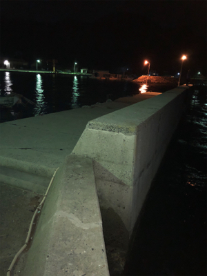 二神島エギング