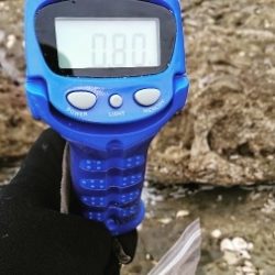 エギング釣行その48