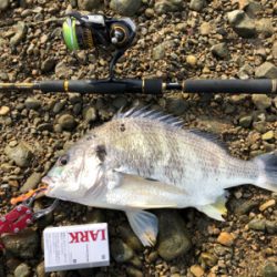 のんびりデイゲーム