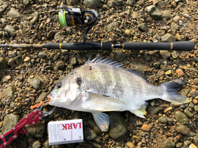 のんびりデイゲーム