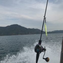 タチウオジギング